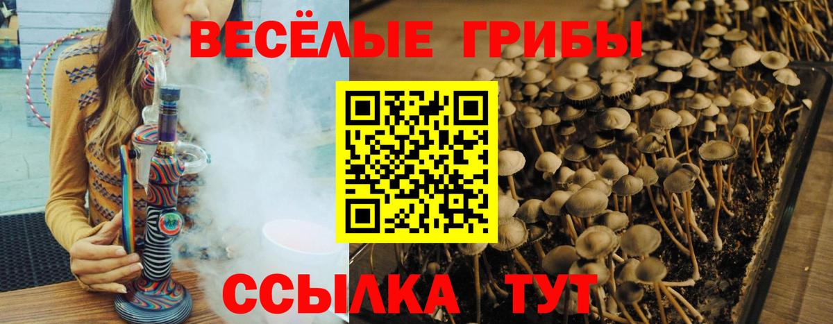 Химки  Галлюциногенные грибы Psilocybine cubensis  Вход с VPN 