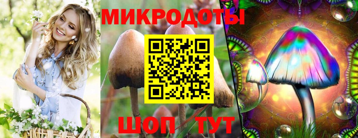 Галлюциногенные грибы ЛСД Химки