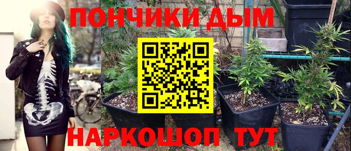Химки  Каннабис гибрид  Шишки марихуана марихуана  Вход с VPN 